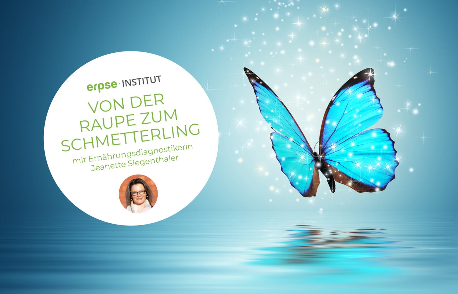 Newsbild_Raupe-Schmetterling